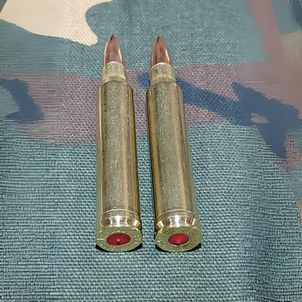 338 WIN MAG, Snap Caps Set of 2 (Brass+FMJ) Real Weight!!!