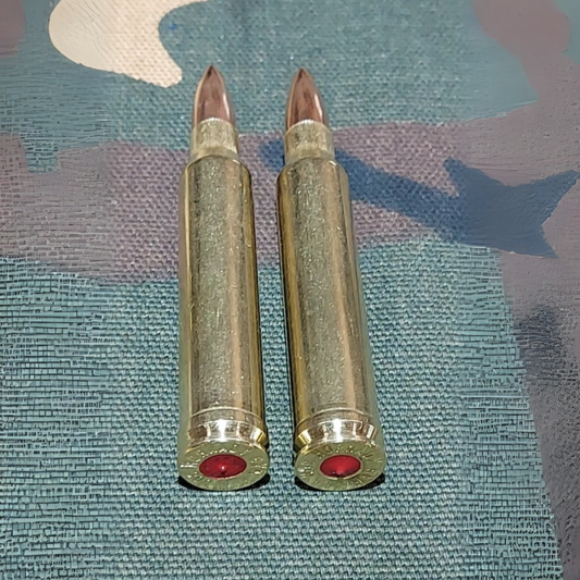300 Win Mag, Snap Caps Set of 2, (Brass and FMJ) Real Weight!!!