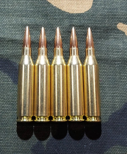 243 Win. Snap Caps Set of 5 (Safety Red)